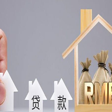 安次贷款中介公司新渝启服推荐